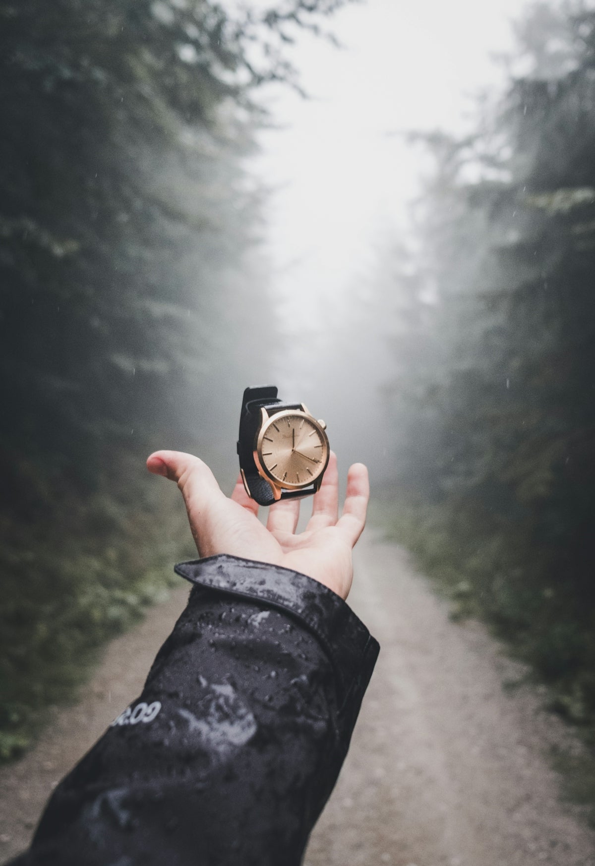The Essential Guide to Customizing Your Own Wristwatch